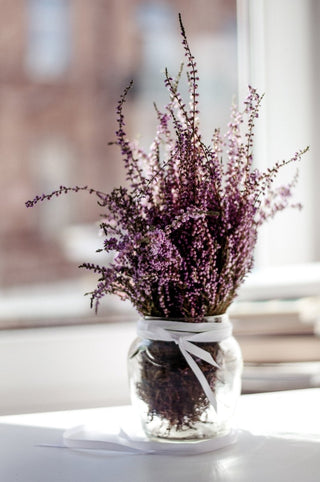 The Most Relaxing Skincare Ingredient You Can Use